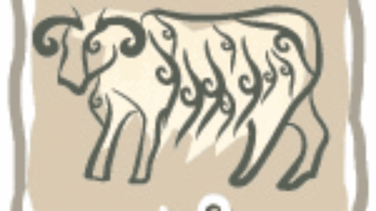 La Vie Professionnelle Les Particularites Et Les Qualites Du Capricorne