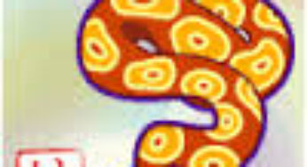 Signe Chinois Archives Blog Astrologie